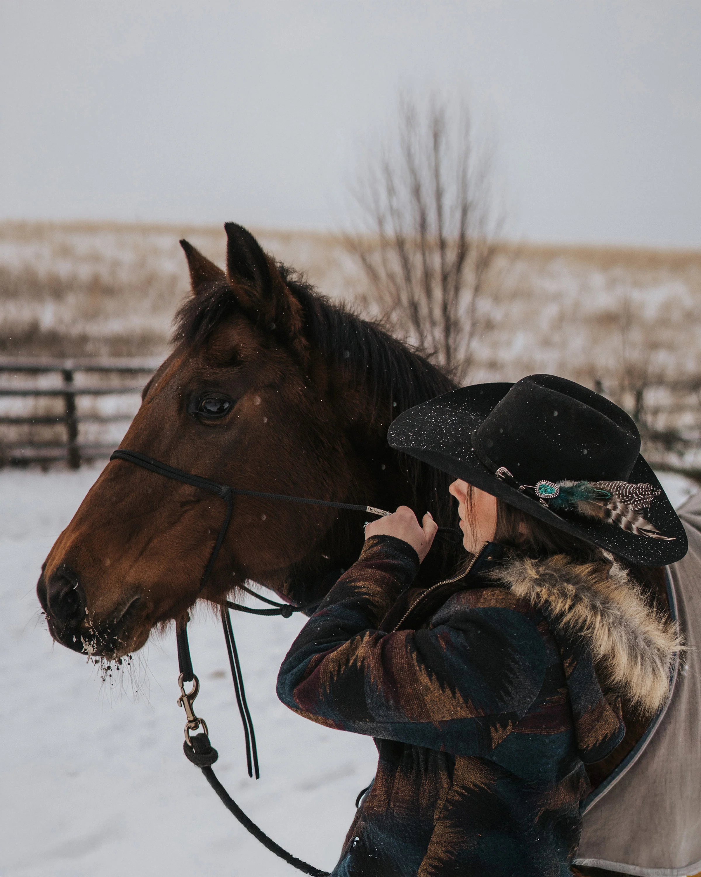 Western lifestyle
